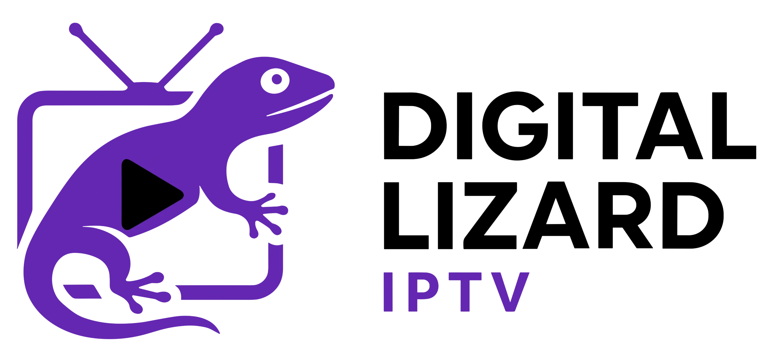 Logo for Digital Lizard IPTV website – premium IPTV streaming for live TV, movies, and series